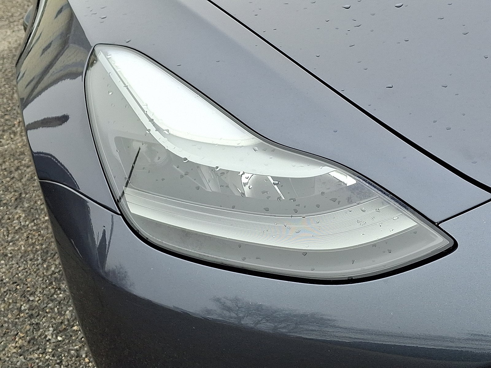 2022 Tesla Model 3 Rear-Wheel Drive